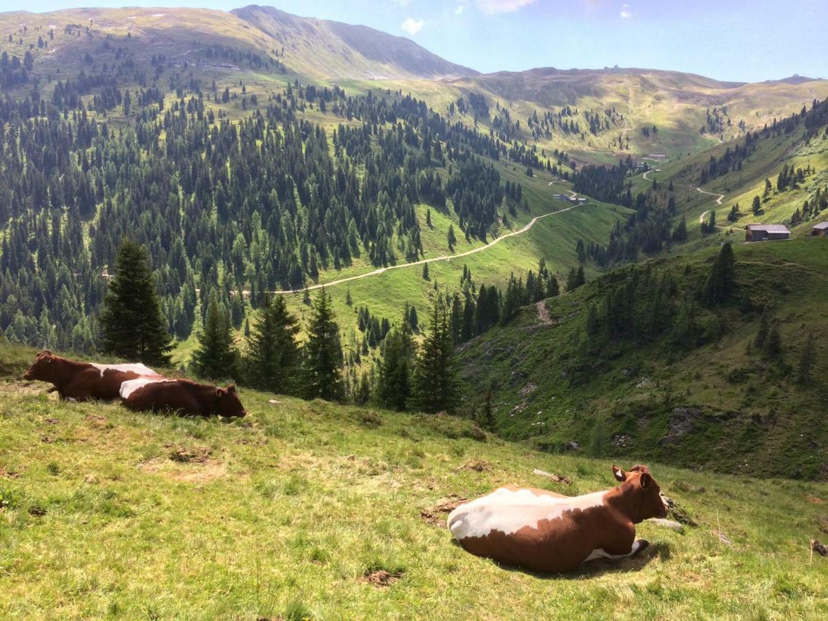 Wagnerhaeusl Apartman Bramberg am Wildkogel Kültér fotó
